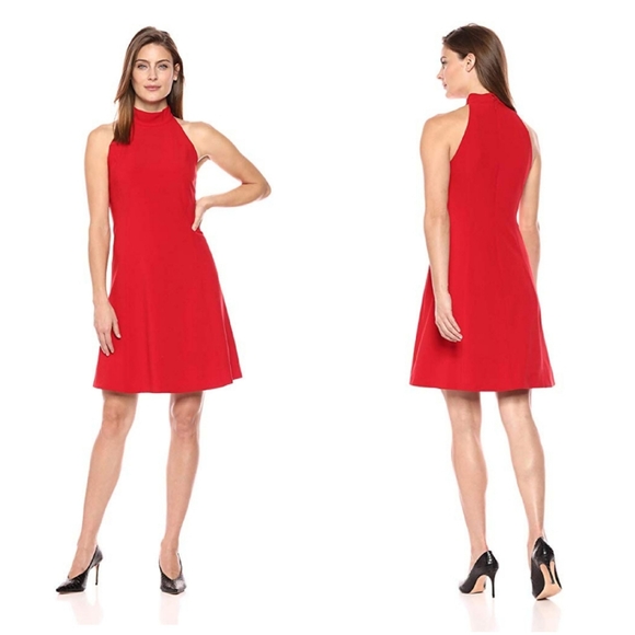 Lark & Ro Dresses & Skirts - Lark & Ro Womens Sleeveless Mock Neck A-Line Dress